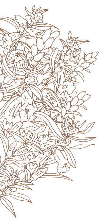花